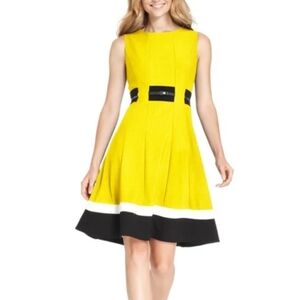 Calvin Klein Yellow Colorblock Petite Dress Size 6P
